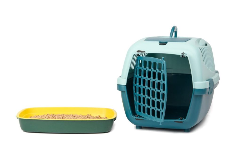 Choisir la bonne litière pour un chat Norvégien : les critères à considérer.